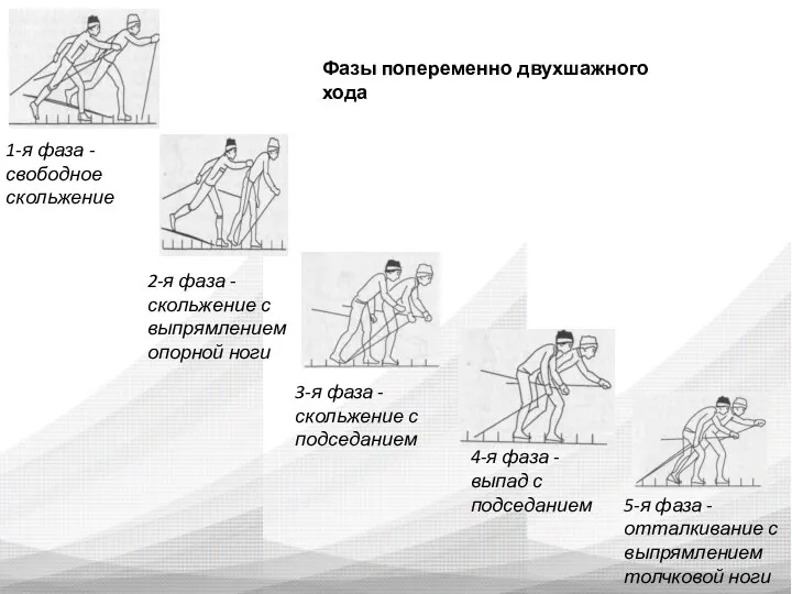 2-я фаза - скольжение с выпрямлением опорной ноги 3-я фаза