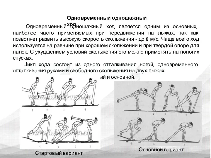 Одновременный одношажный ход Одновременный одношажный ход является одним из основных,