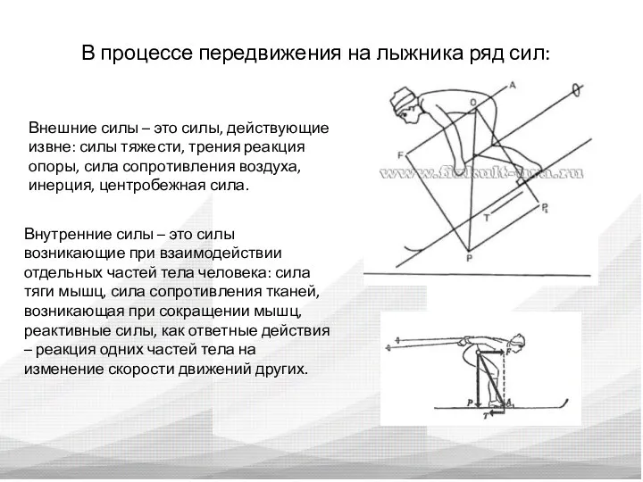 В процессе передвижения на лыжника ряд сил: Внешние силы –