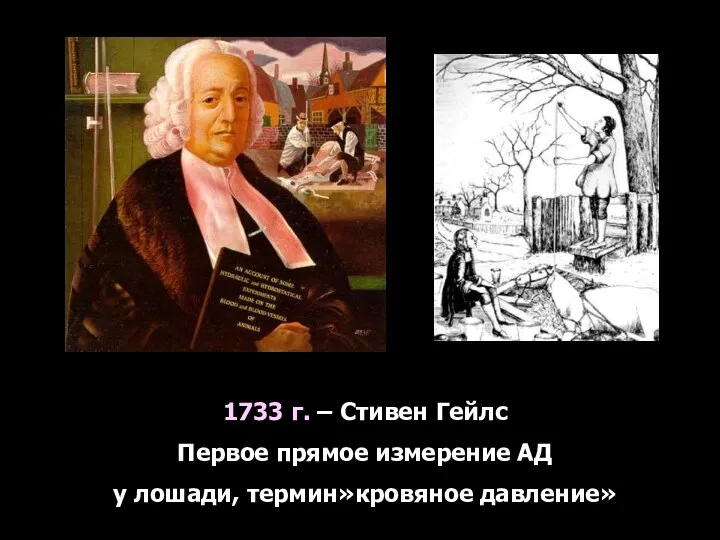 1733 г. – Стивен Гейлс Первое прямое измерение АД у лошади, термин»кровяное давление»