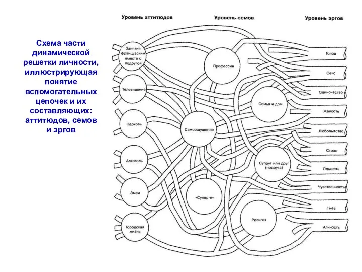 Схема части динамической решетки личности, иллюстрирующая понятие вспомогательных цепочек и их составляющих: аттитюдов, семов и эргов