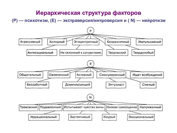 Иерархическая структура факторов (P) — психотизм, (E) — экстраверсия/интроверсия и ( N) — нейротизм