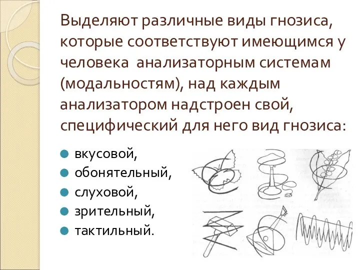 Выделяют различные виды гнозиса, которые соответствуют имеющимся у человека анализаторным