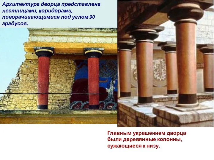 Главным украшением дворца были деревянные колонны, сужающиеся к низу. Архитектура