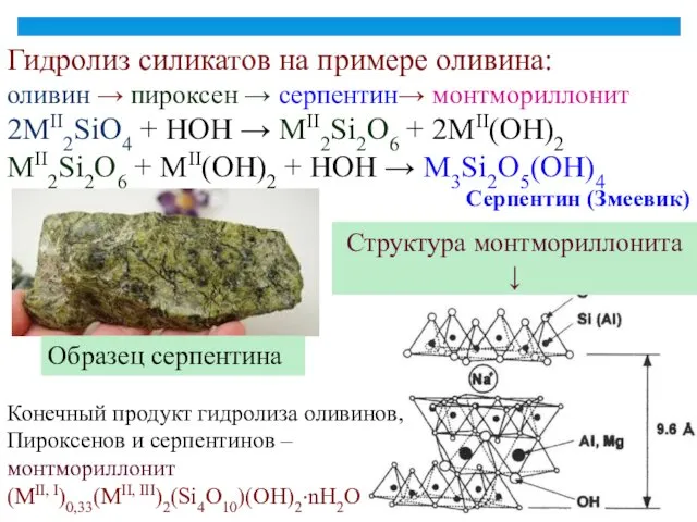 Структура монтмориллонита ↓ Гидролиз силикатов на примере оливина: оливин →