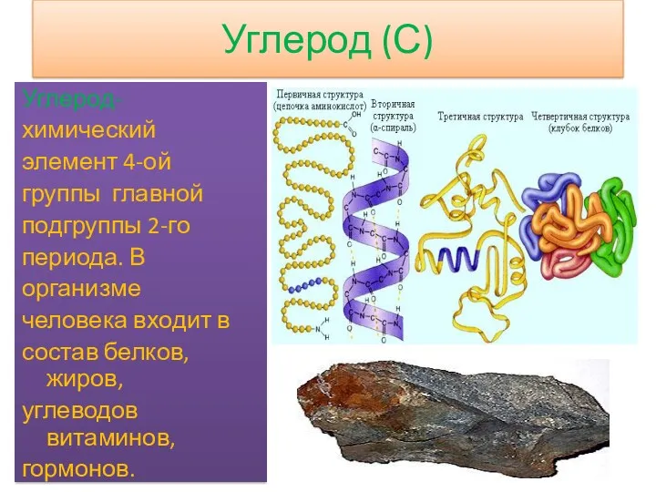 Углерод (С) Углерод- химический элемент 4-ой группы главной подгруппы 2-го периода. В организме