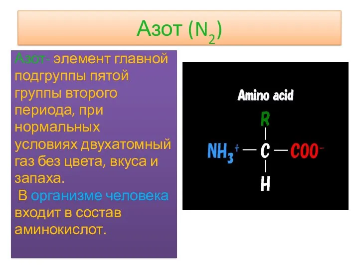 Азот (N2) Азот- элемент главной подгруппы пятой группы второго периода, при нормальных условиях