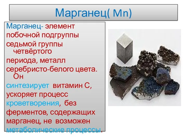 Марганец( Mn) Марганец- элемент побочной подгруппы седьмой группы четвёртого периода, металл серебристо-белого цвета.