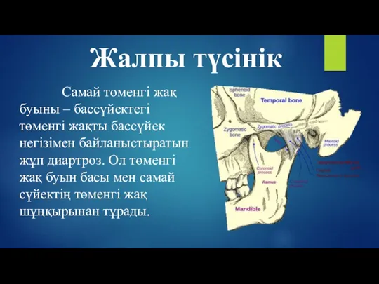 Жалпы түсінік Самай төменгі жақ буыны – бассүйектегі төменгі жақты бассүйек негізімен байланыстыратын