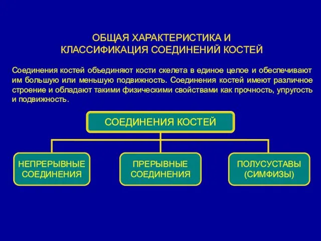 Соединения костей объединяют кости скелета в единое целое и обеспечивают