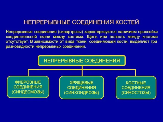 НЕПРЕРЫВНЫЕ СОЕДИНЕНИЯ КОСТЕЙ Непрерывные соединения (синартрозы) характеризуются наличием прослойки соединительной