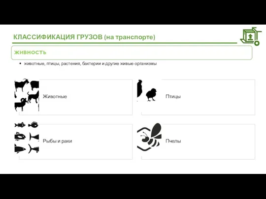 КЛАССИФИКАЦИЯ ГРУЗОВ (на транспорте) Животные Птицы Рыбы и раки Пчелы