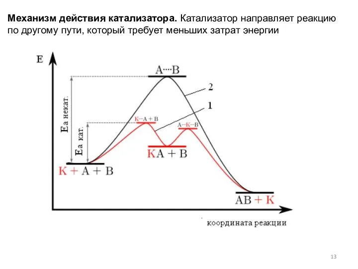 Механизм действия катализатора. Катализатор направляет реакцию по другому пути, который требует меньших затрат энергии