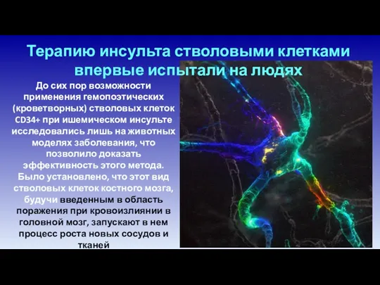 До сих пор возможности применения гемопоэтических (кроветворных) стволовых клеток CD34+