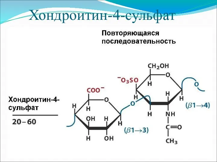Хондроитин-4-сульфат