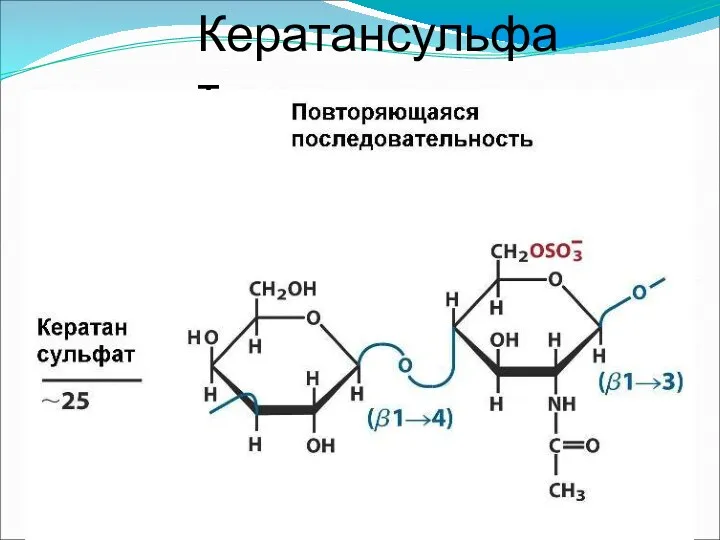 Кератансульфат