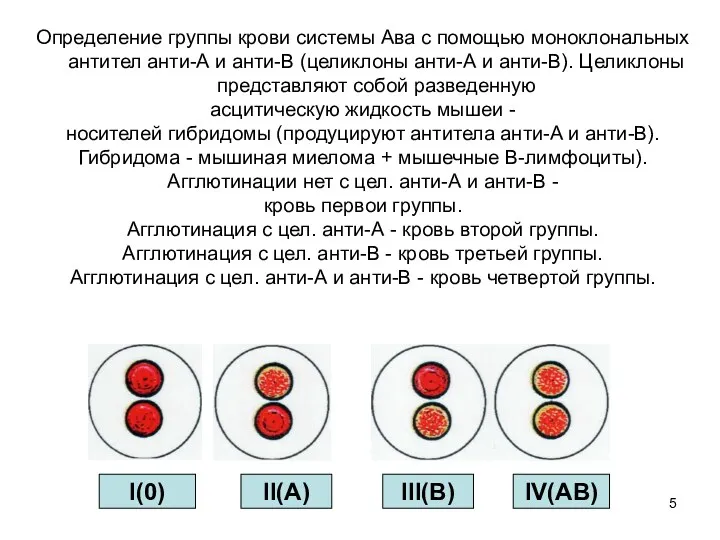 I(0) IV(AB) II(A) III(B)