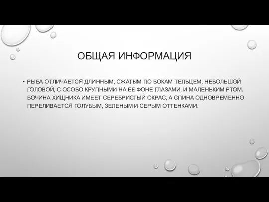 ОБЩАЯ ИНФОРМАЦИЯ РЫБА ОТЛИЧАЕТСЯ ДЛИННЫМ, СЖАТЫМ ПО БОКАМ ТЕЛЬЦЕМ, НЕБОЛЬШОЙ