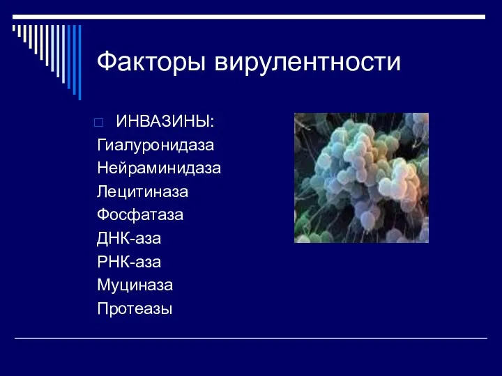 Факторы вирулентности ИНВАЗИНЫ: Гиалуронидаза Нейраминидаза Лецитиназа Фосфатаза ДНК-аза РНК-аза Муциназа Протеазы