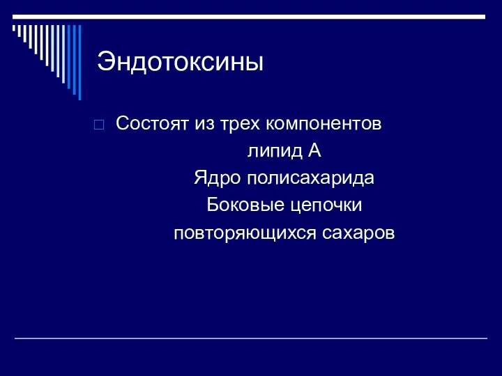 Эндотоксины Состоят из трех компонентов липид А Ядро полисахарида Боковые цепочки повторяющихся сахаров