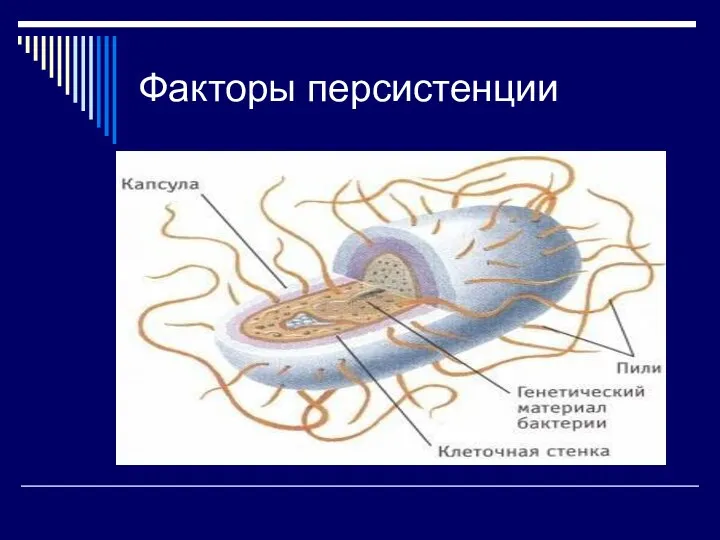 Факторы персистенции