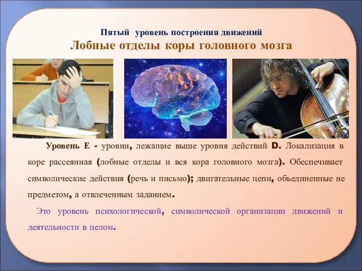 Пятый уровень построения движений Лобные отделы коры головного мозга Уровень