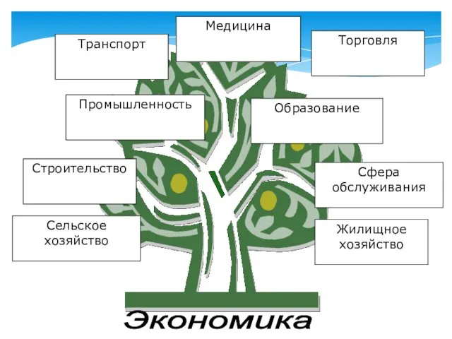 Экономика Сельское хозяйство Строительство Промышленность Транспорт Медицина Торговля Образование Сфера обслуживания Жилищное хозяйство