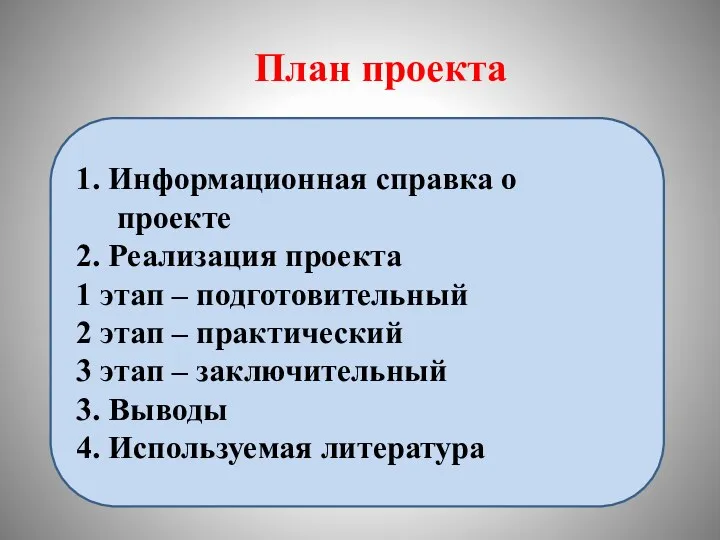 План проекта 1. Информационная справка о проекте 2. Реализация проекта