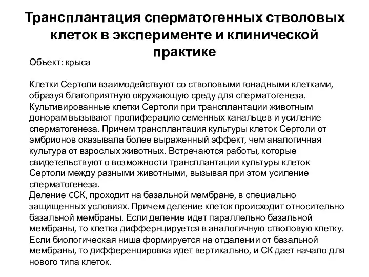 Трансплантация сперматогенных стволовых клеток в эксперименте и клинической практике Объект: