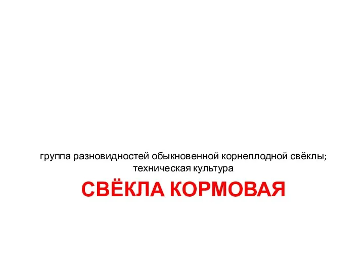 СВЁКЛА КОРМОВАЯ группа разновидностей обыкновенной корнеплодной свёклы; техническая культура