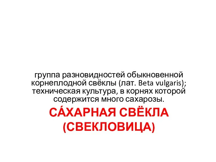 СА́ХАРНАЯ СВЁКЛА (СВЕКЛОВИЦА) группа разновидностей обыкновенной корнеплодной свёклы (лат. Beta