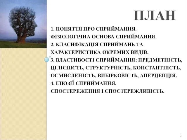 1. ПОНЯТТЯ ПРО СПРИЙМАННЯ. ФІЗІОЛОГІЧНА ОСНОВА СПРИЙМАННЯ. 2. КЛАСИФІКАЦІЯ СПРИЙМАНЬ