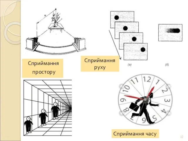 Сприймання простору Сприймання руху Сприймання часу