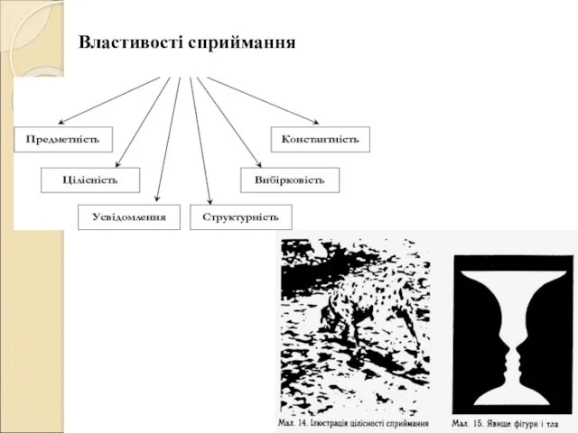 Властивості сприймання