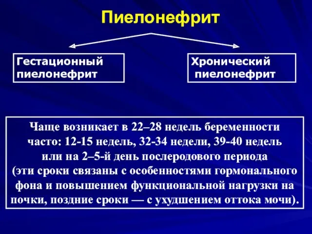 Пиелонефрит Гестационный пиелонефрит Хронический пиелонефрит Чаще возникает в 22–28 недель