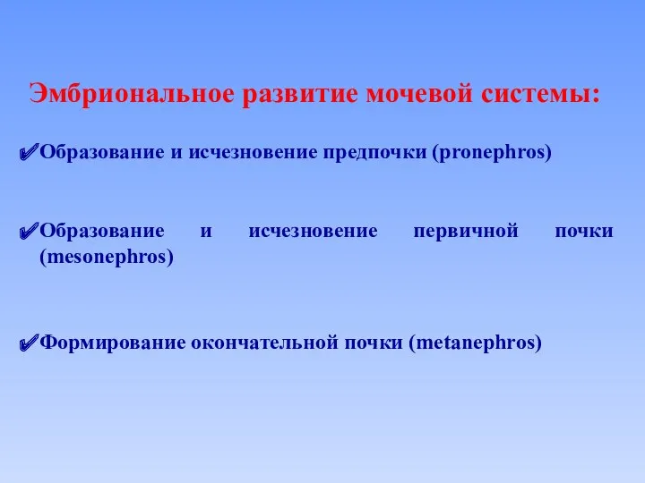 Эмбриональное развитие мочевой системы: Образование и исчезновение предпочки (pronephros) Образование