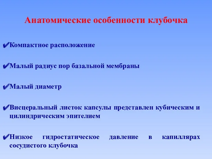 Анатомические особенности клубочка Компактное расположение Висцеральный листок капсулы представлен кубическим