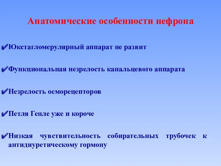 Анатомические особенности нефрона Юкстагломерулярный аппарат не развит Петля Генле уже