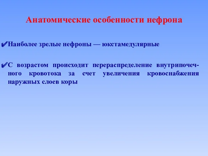 Анатомические особенности нефрона Наиболее зрелые нефроны — юкстамедулярные С возрастом