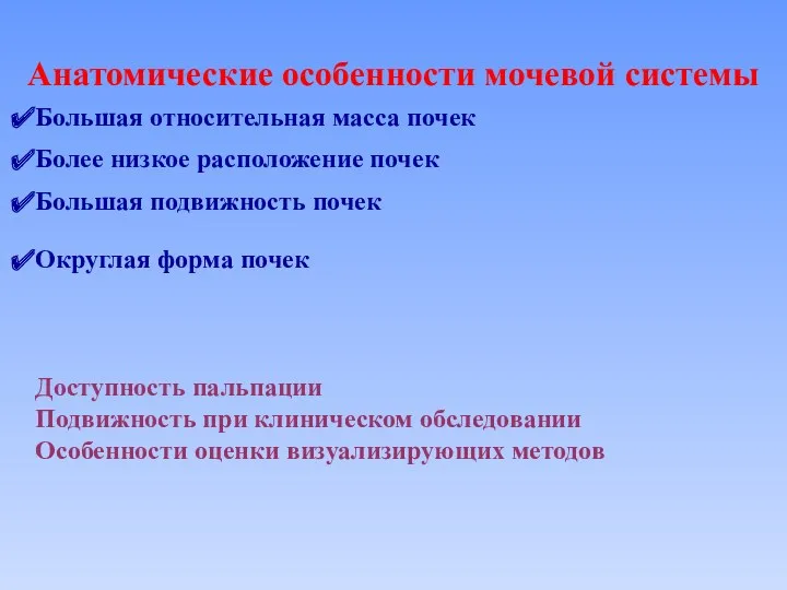 Анатомические особенности мочевой системы Большая относительная масса почек Более низкое