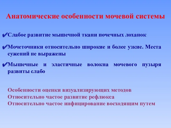 Анатомические особенности мочевой системы Слабое развитие мышечной ткани почечных лоханок