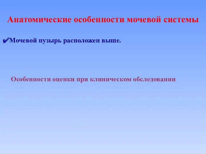 Анатомические особенности мочевой системы Мочевой пузырь расположен выше. Особенности оценки при клиническом обследовании