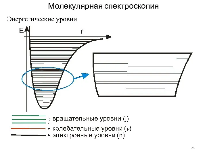 Молекулярная спектроскопия Энергетические уровни