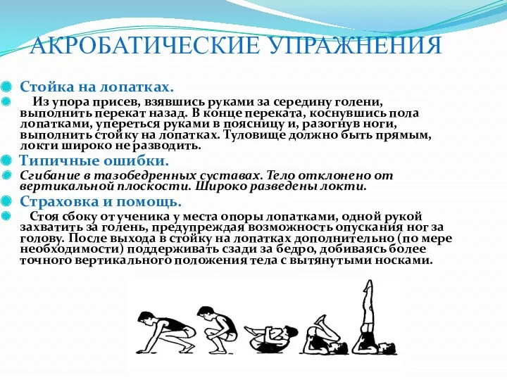 АКРОБАТИЧЕСКИЕ УПРАЖНЕНИЯ Стойка на лопатках. Из упора присев, взявшись руками