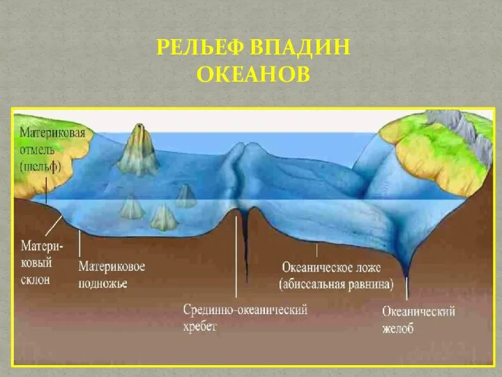 РЕЛЬЕФ ВПАДИН ОКЕАНОВ