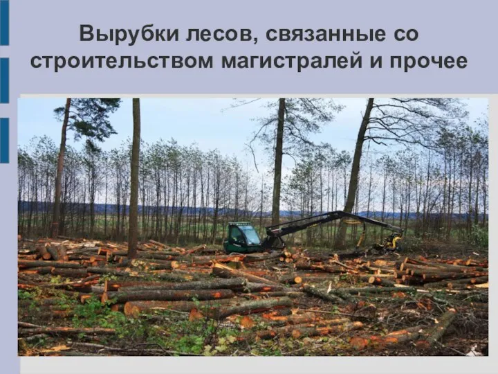 Вырубки лесов, связанные со строительством магистралей и прочее