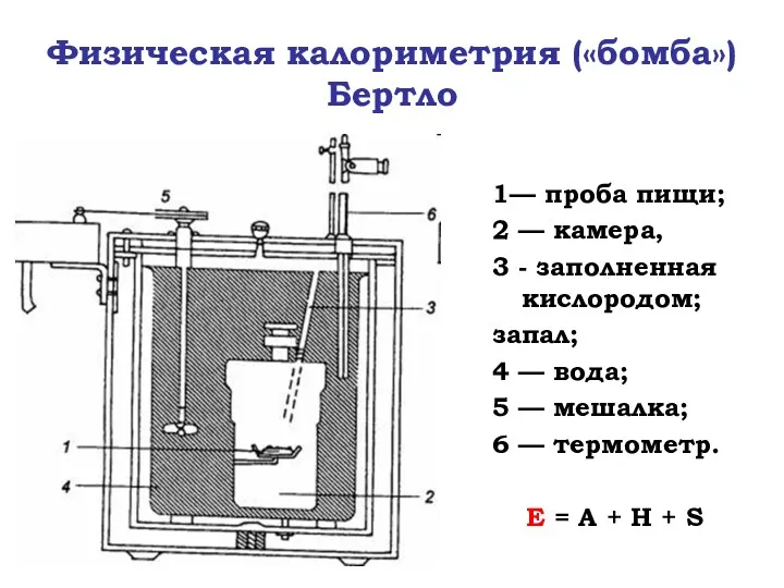 Физическая калориметрия («бомба») Бертло 1— проба пищи; 2 — камера,