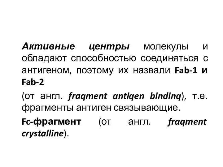 Активные центры молекулы и обладают способностью соединяться с антигеном, поэтому