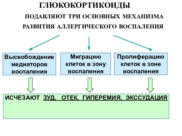 ГЛЮКОКОРТИКОИДЫ ПОДАВЛЯЮТ ТРИ ОСНОВНЫХ МЕХАНИЗМА РАЗВИТИЯ АЛЛЕРГИЧЕСКОГО ВОСПАЛЕНИЯ Высвобождение медиаторов воспаления Миграцию клеток