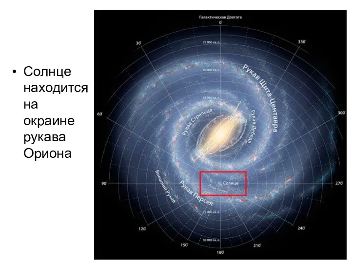 Солнце находится на окраине рукава Ориона